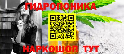 шишки Гусиноозёрск
