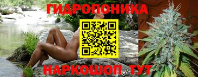 шишки Гусиноозёрск