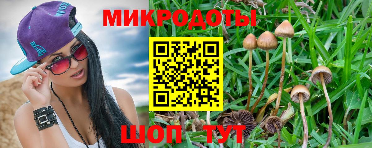 Псилоцибиновые грибы ЛСД Нижнеудинск